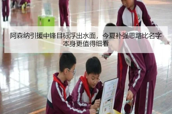 阿森纳引援中锋目标浮出水面，今夏补强思路比名字本身更值得细看 | kaiyun